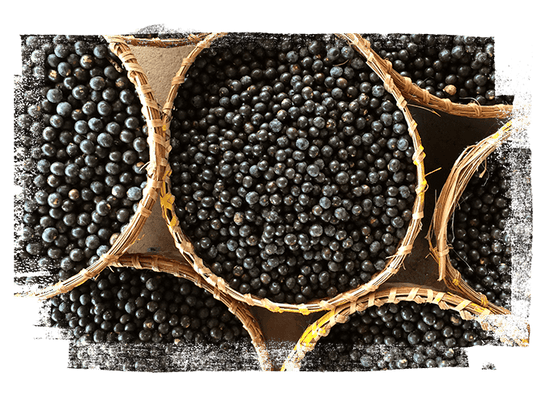 Acai berries in basket